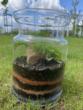 Terrarium Jeek Simple Nature