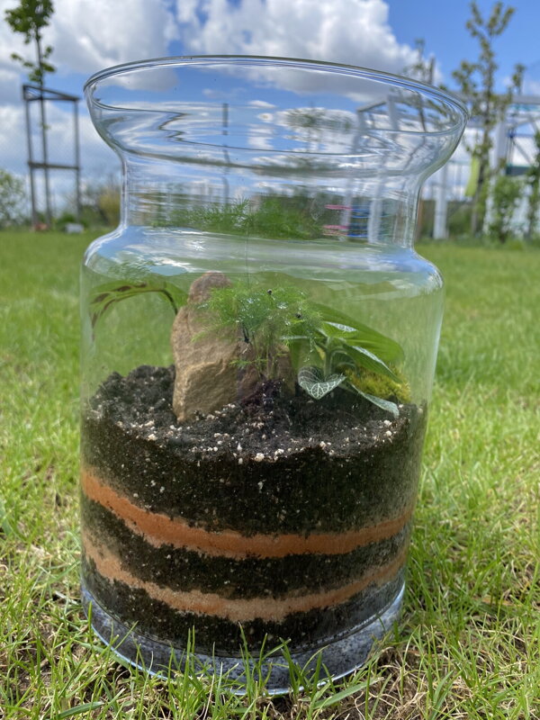 Terrarium Jeek Simple Nature